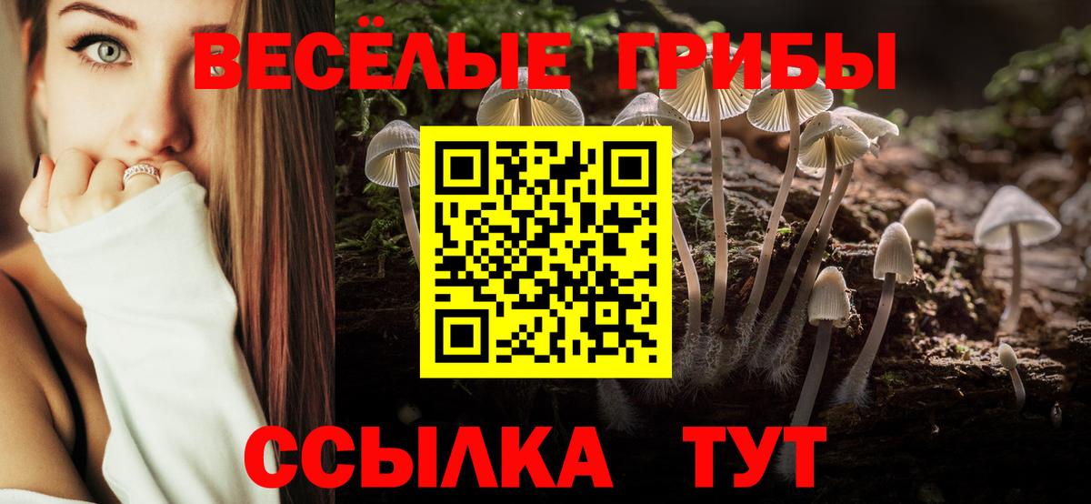 Псилоцибиновые грибы ЛСД  Вход с VPN  Краснокаменск  Псилоцибиновые грибы Cubensis 